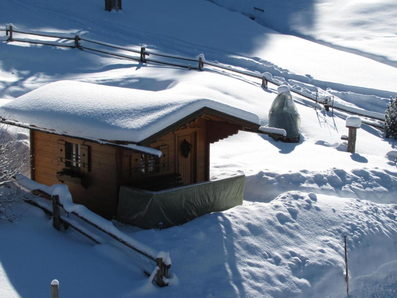 Haus Wallinger Abtenau Exterior foto