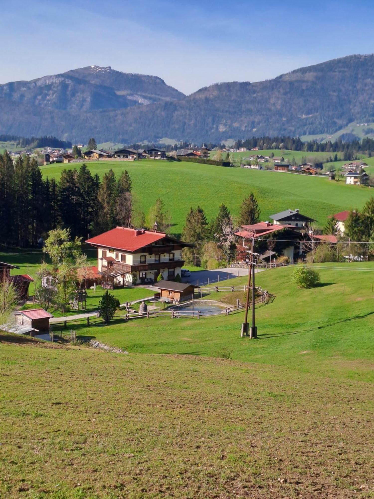 Haus Wallinger Abtenau Exterior foto